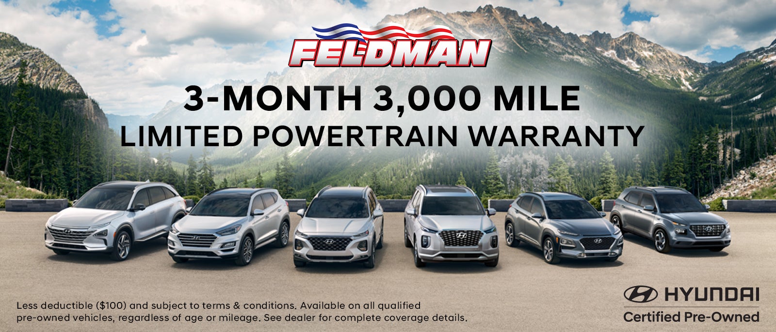 Limited Powertrain Warranty at Feldman